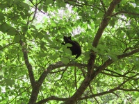 You can_t get me from here.jpg